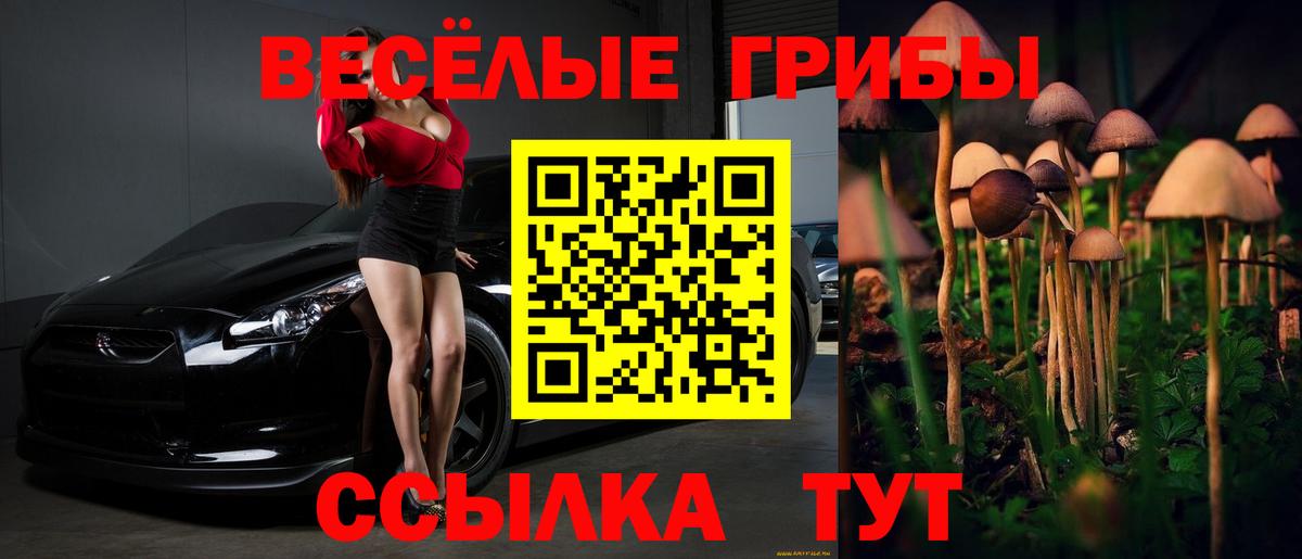 Галлюциногенные грибы ЛСД Минусинск